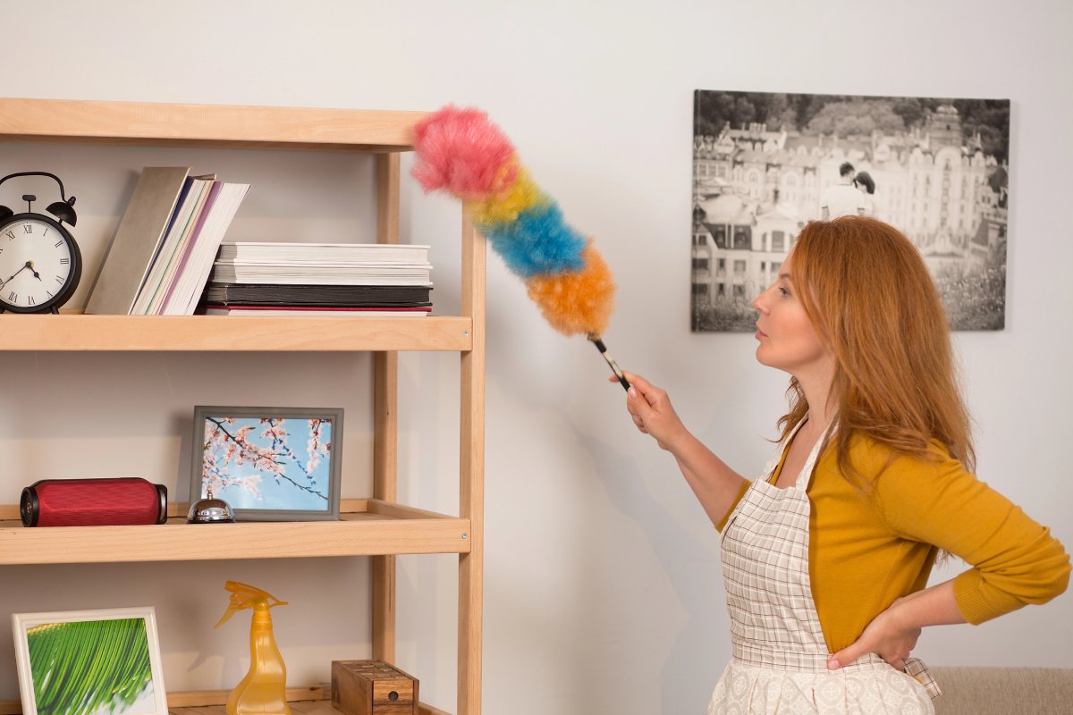 Dust Cleaning